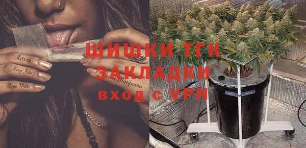 гашик Алапаевск